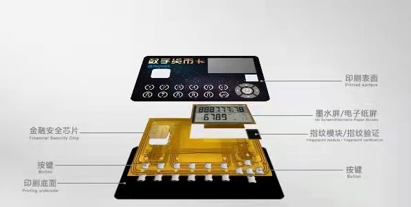 �P�ɽ��ڿ�ҕ��-�� ����