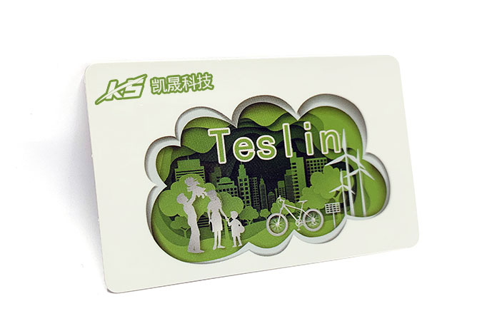 ̩˹�֣�Teslin����